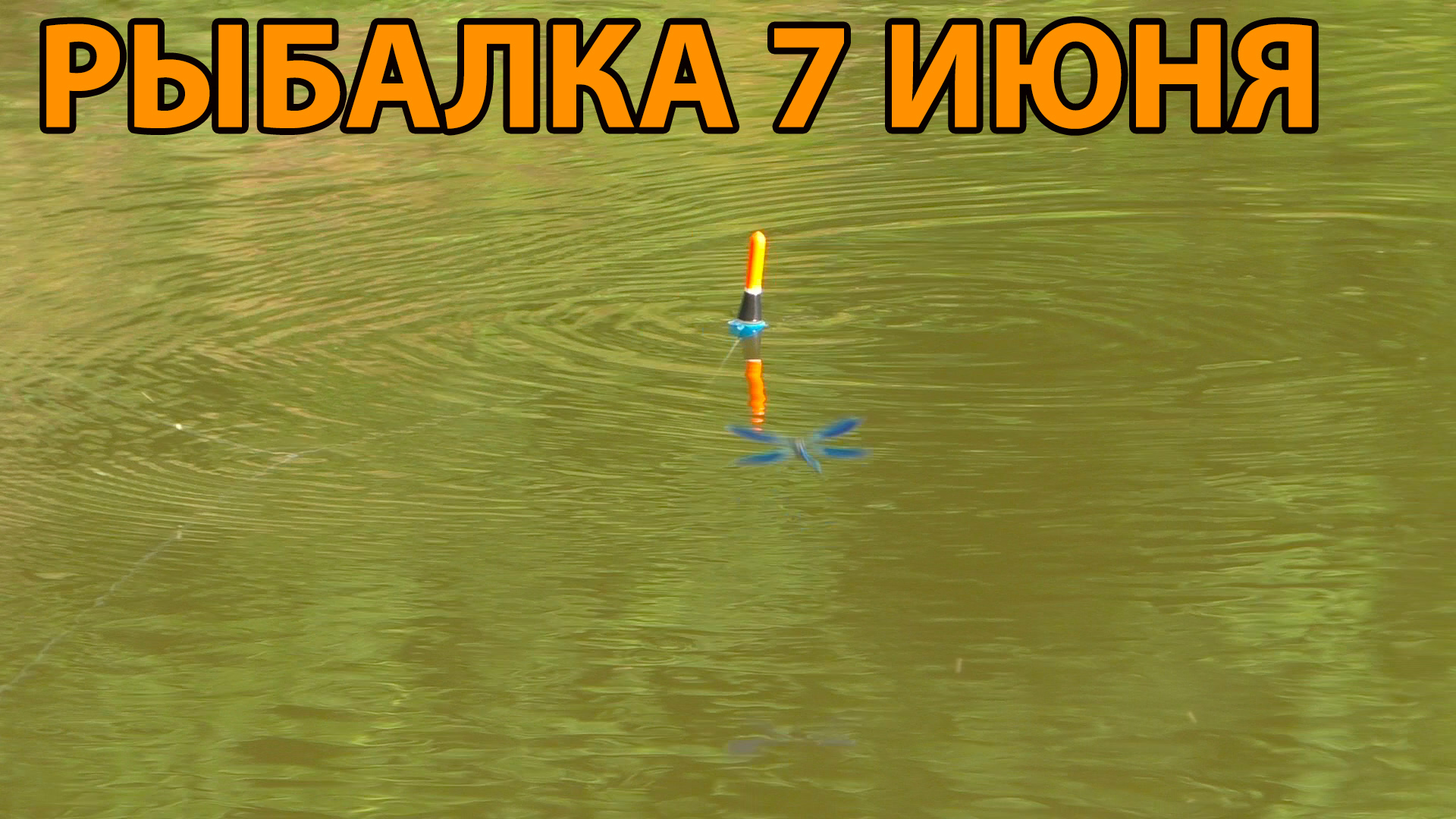 Рыбалка 7 июня 2022 на речке смотреть онлайн