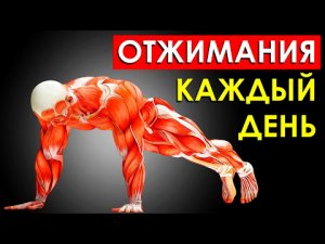 Что Будет с Телом, Если Отжиматься Каждый День