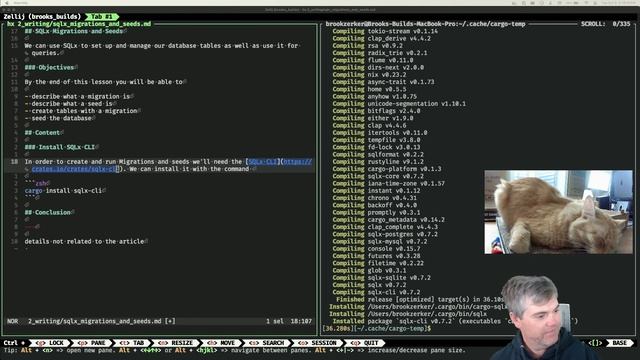 Stream archive: Recording SQLx Rust bulk insert with UNNEST (2023-10-03 afternoon) смотреть онлайн