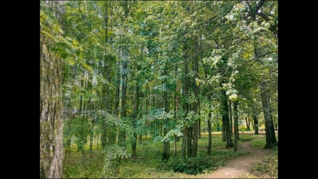 Скитские пруды - одно из самых живописных мест в Сергиевом Посаде смотреть онлайн