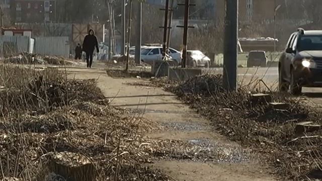 деревня Тарычёво: вырубка аллеи смотреть онлайн