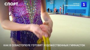 Художественная гимнастика: красота и грация