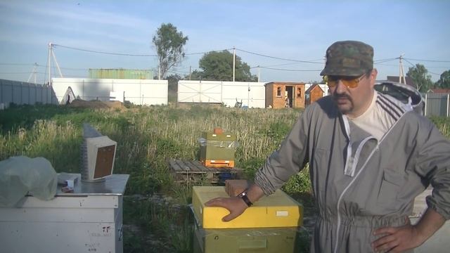 Чтобы избежать роения смотреть онлайн