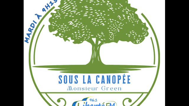 Les peuples premiers et l'économie смотреть онлайн