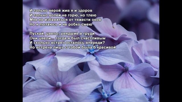 Стихи Черкашин Дмитрий - Цветы смотреть онлайн