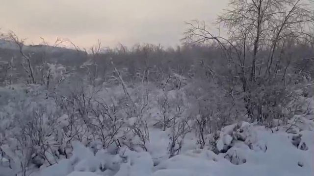 Воргашор зимняя сказка смотреть онлайн