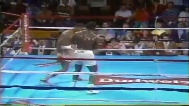 Tyrell Biggs vs Jeff Sims - Highlights (Great SCRAP) смотреть онлайн