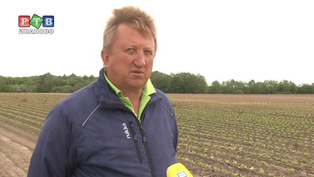 Посевная в регионе продолжается