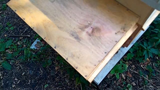 Узнаю вес зимних кормов не открывая улей смотреть онлайн