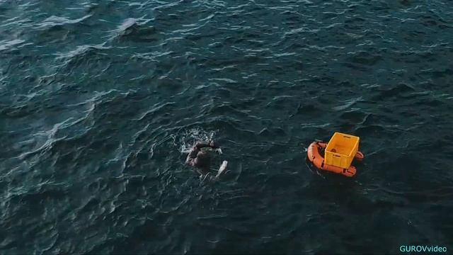 Самая лучшая подводная охота в Норвегии ,остров хитра 2019. Часть 1 Norvēģijas zem ūdens mediba 201 смотреть онлайн