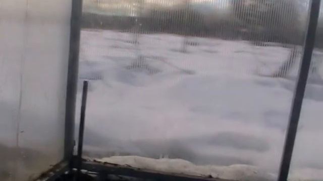 Теплица в апреле. Что посеять? смотреть онлайн