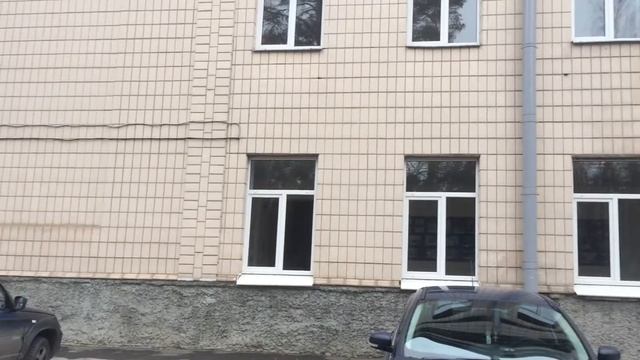 17.03.2017. Всеволожск, Колтушское шоссе, 138. Пикет в защиту природы 1. смотреть онлайн