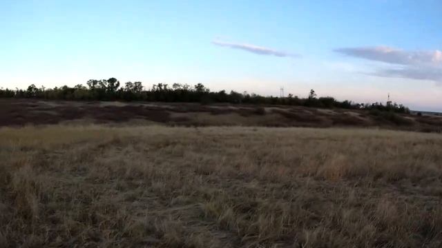 Охота на полевую дичь с курцхааром и двустволкой иж 58ма 16 калибр. смотреть онлайн