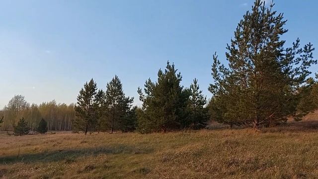 Природа Зауралья май 2022 смотреть онлайн