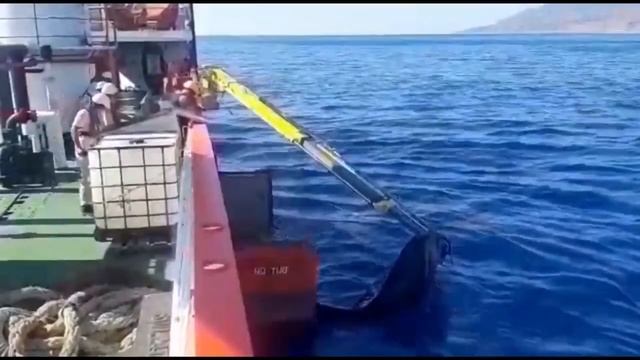 Сирия разлив нефти размером с Нью Йорк, Средиземное море 4 сентября 2021 | Экологическая катастрофа смотреть онлайн