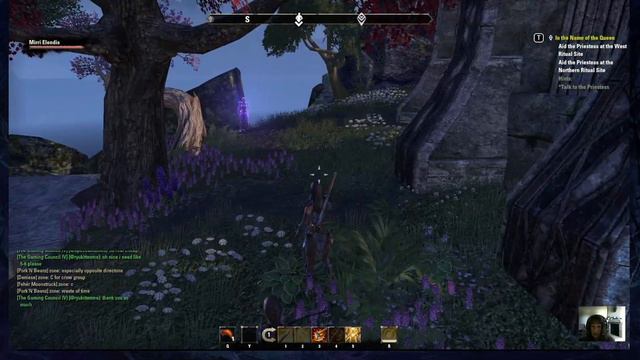 The Elder Scrolls Online Stream 43 - Cadwell's Silver Questline Begins смотреть онлайн