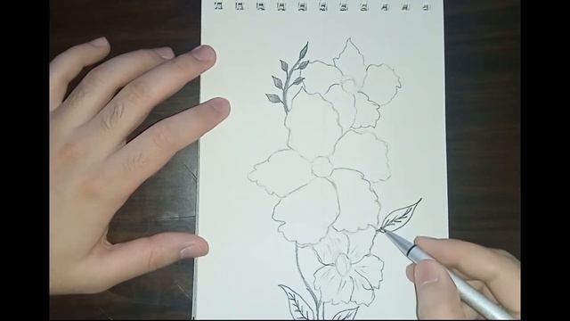 Рисуем цветы/ Drawing flowers #топ #рисовать #drawing смотреть онлайн