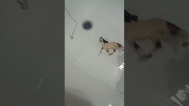 что случилось утром!? смотреть онлайн