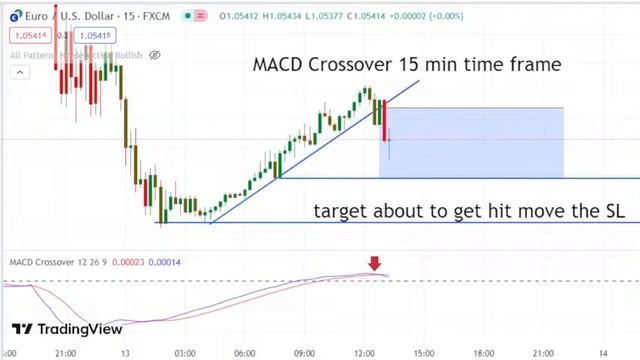 LIVE TRADE ON ERUUSD NEW STRATEGY смотреть онлайн