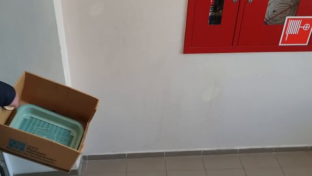 Крайний ДЕНЬ в СОФРИНО ?? | Завтрак и ОБЕД ШВЕДСКИЙ СТОЛ в отеле Tulip Inn | Решили ПРОДОЛЖИТЬ ОТДЫ