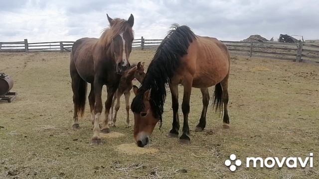 MovaviClips_Video_6.mp4