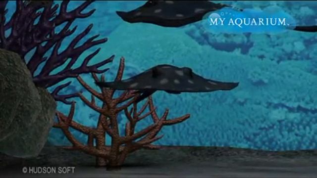 My Aquarium rog смотреть онлайн