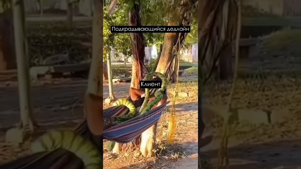 Дедлайны смотреть онлайн