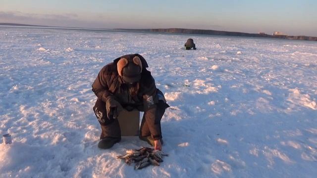 Рыбалка на белоярском водохранилище. Лодочная 23.02.2020. смотреть онлайн