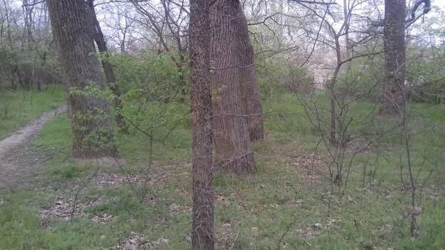 КАК МЫ СНИМАЛИ РЕКЛАМУ... смотреть онлайн