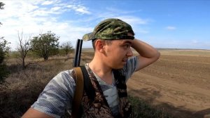 ОХОТА НА КУРОПАТКУ БЕЗ СОБАКИ (Сам!) Открытие куропатки)