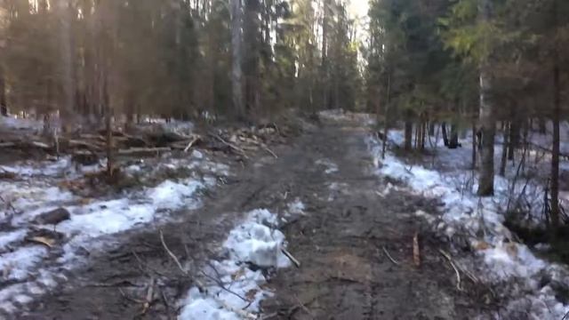 Очистка делянки