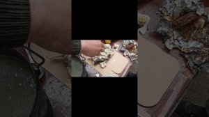 Рыбацкое счастье