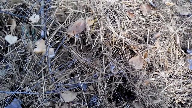 Чем укрывать виноград,розы и т.п. смотреть онлайн