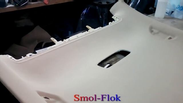 Volkswagen Passat B6 Потолок