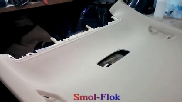 Volkswagen Passat B6 Потолок