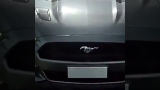 Жгёт резину Mustang смотреть онлайн