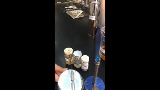 Strip Method experiment demonstration смотреть онлайн
