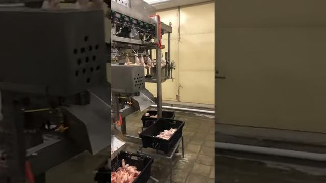 автоматическая линия разделки птицы СП - 3000