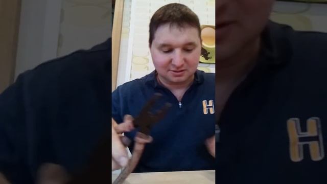 Мастер-класс по поеданию кедровых орех