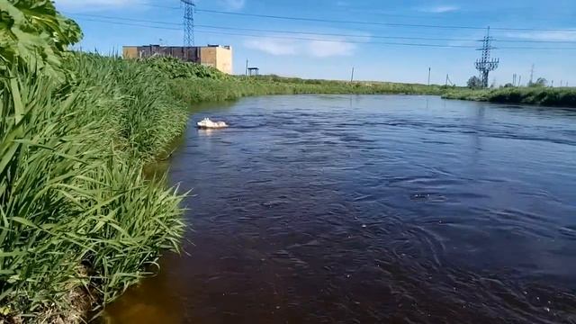 Чуня наслаждается)