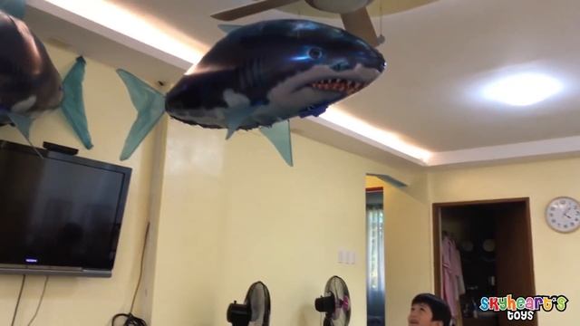 FLYING SHARKS inside our house! Skyheart Toys plays with air swimmer balloons for kids смотреть онлайн