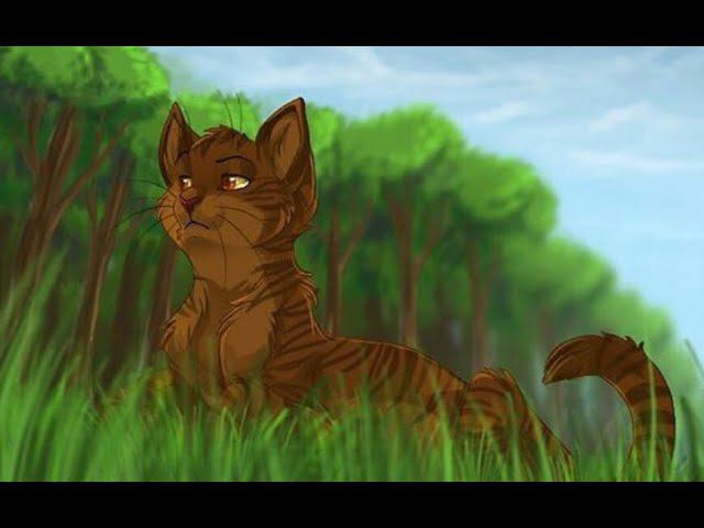 Коты Воители //SIAMÉS 