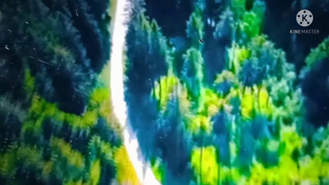 Tui phele asechhis kare mon.Instrumental. смотреть онлайн