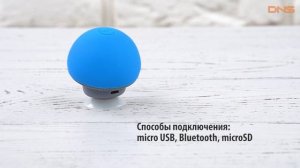 Распаковка портативной колонки Aceline APS100 / Unboxing Aceline APS100