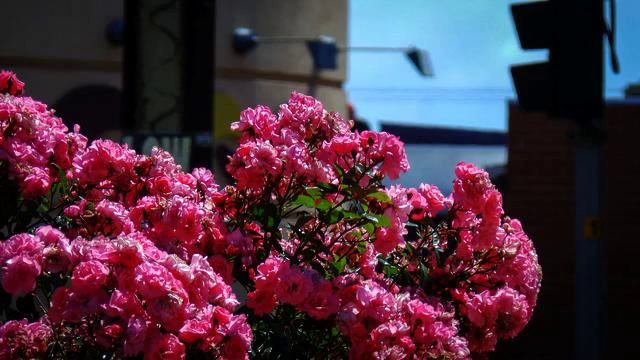 Самые новые хиты музыки в машину в хорошем качестве смотреть онлайн
