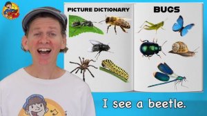 Bugs | Picture Dictionary Song | Dream English Kids