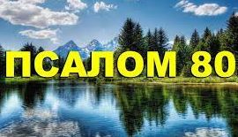 ✞Псалом 80✞Псалом Давиду. СЛУШАТЬ✞