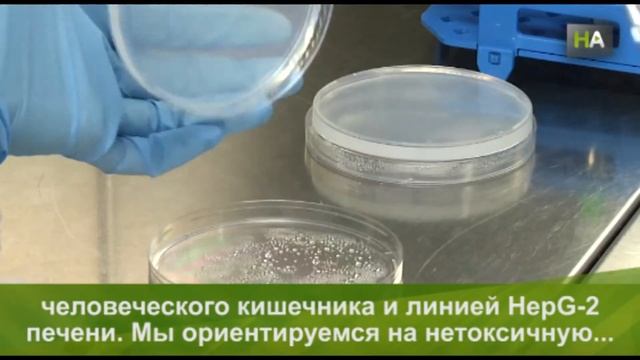 НА Пластик с добавлением глины. Новые упаковки для мяса продлевают срок годности продукта смотреть онлайн