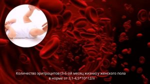 Норма количества эритроцитов у женского пола от рождения до