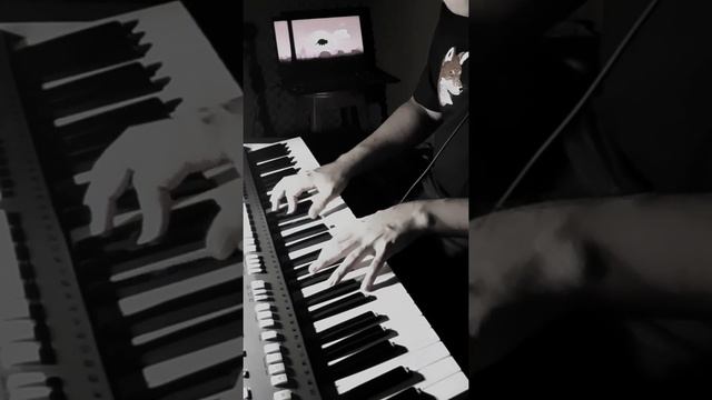 The Avatar's Love - Avatar: The Last Airbender (Celesta/Piano cover) смотреть онлайн